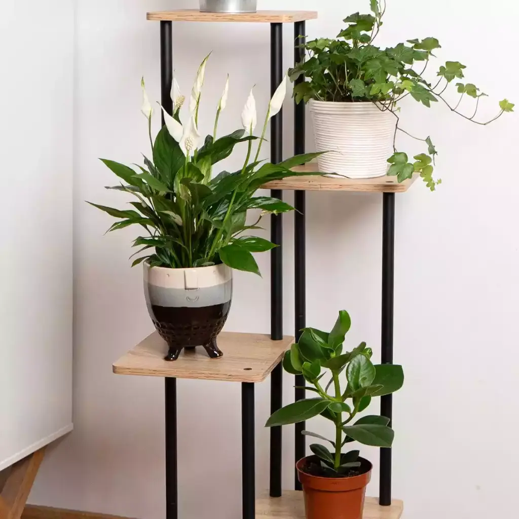 mueble-5-1.jpg